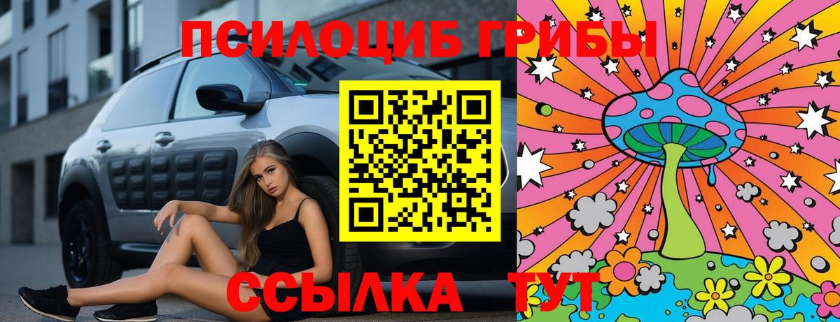 Чайковский  Галлюциногенные грибы Cubensis  Галлюциногенные грибы ЛСД  Вход с VPN 