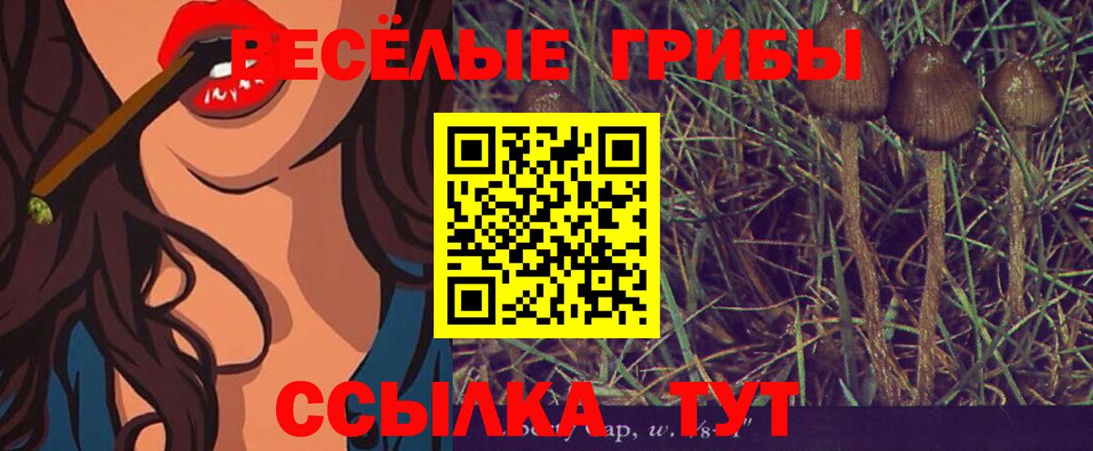 Галлюциногенные грибы прущие грибы Чайковский